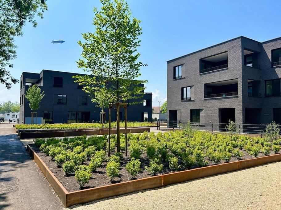 Seeparkvilla - Wohlfuehlen Am See Und Im Gruenen Bregenz Exterior foto