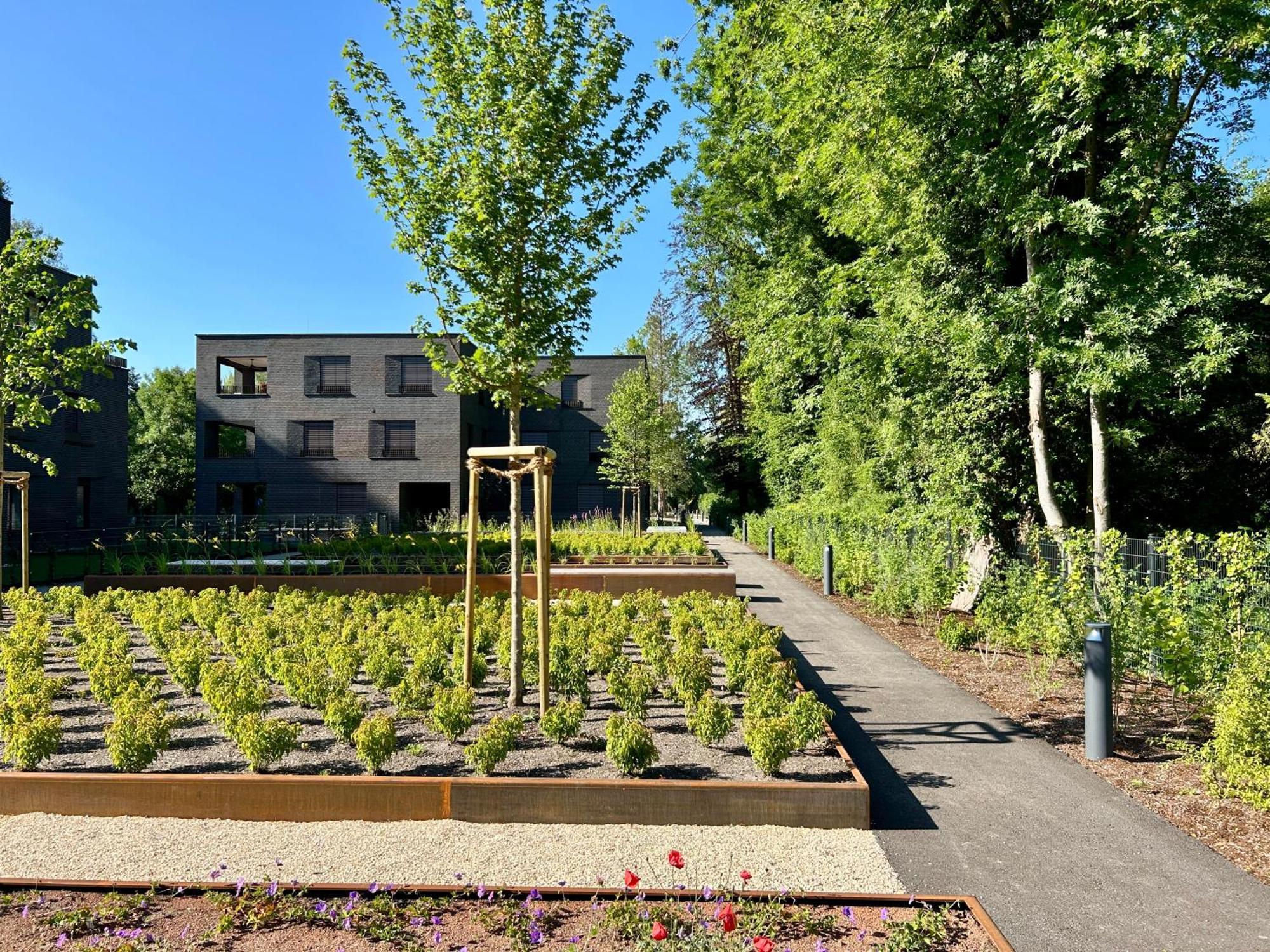 Seeparkvilla - Wohlfuehlen Am See Und Im Gruenen Bregenz Exterior foto