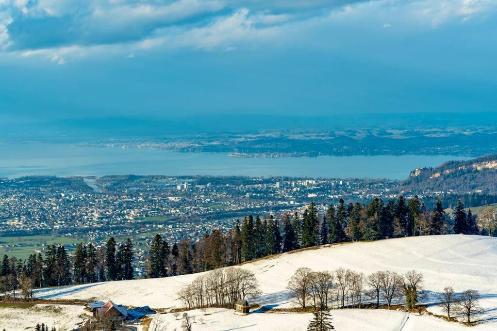 Seeparkvilla - Wohlfuehlen Am See Und Im Gruenen Bregenz Exterior foto
