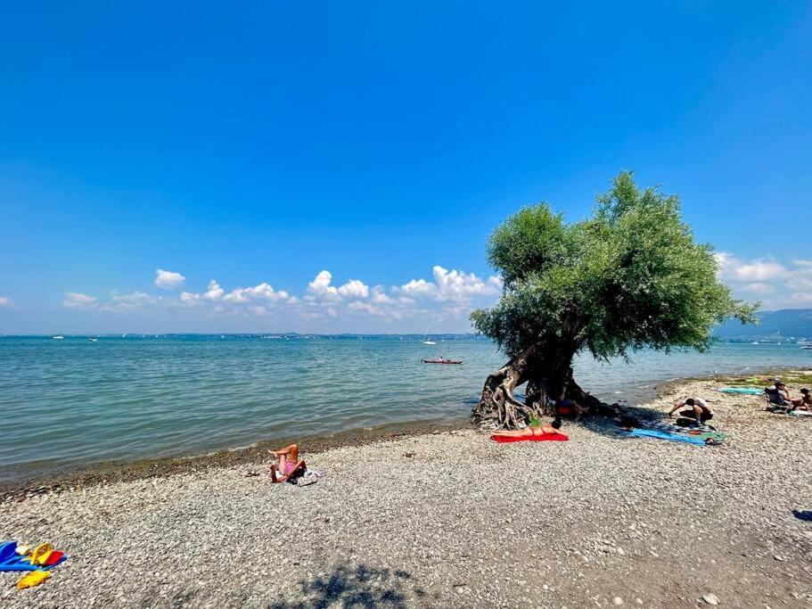 Seeparkvilla - Wohlfuehlen Am See Und Im Gruenen Bregenz Exterior foto