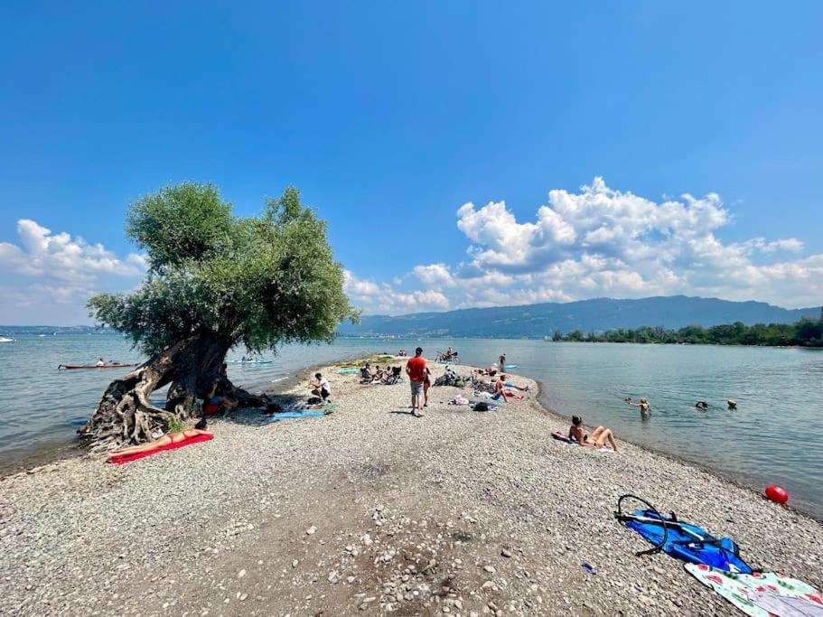Seeparkvilla - Wohlfuehlen Am See Und Im Gruenen Bregenz Exterior foto